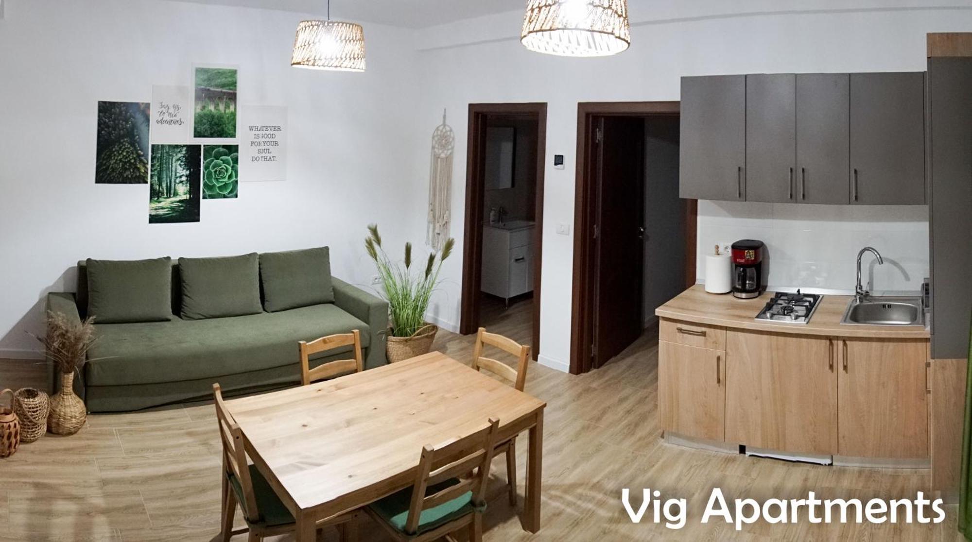 Vig Apartments Тимишоара Экстерьер фото