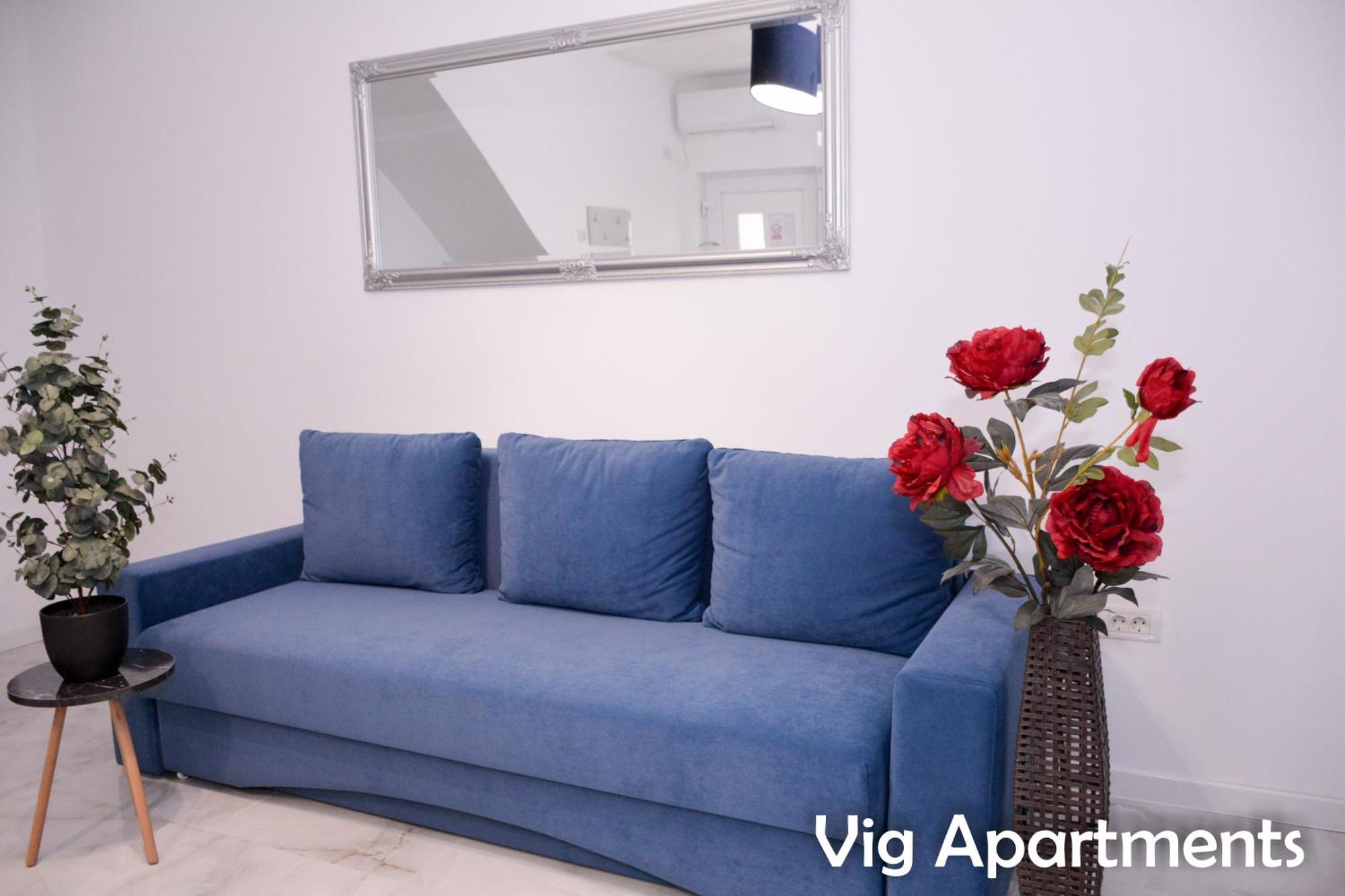 Vig Apartments Тимишоара Экстерьер фото