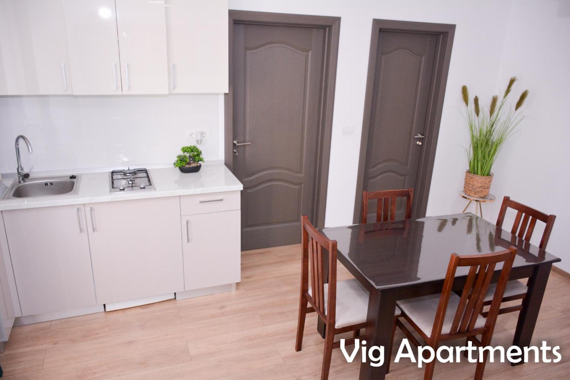 Vig Apartments Тимишоара Экстерьер фото
